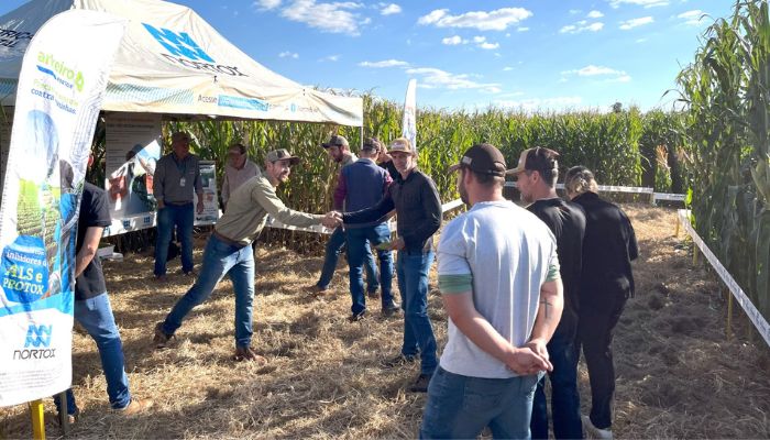 Foto - Assessoria Primato realiza Dia de Campo Milho Safrinha com otimismo diante da maior safra da história